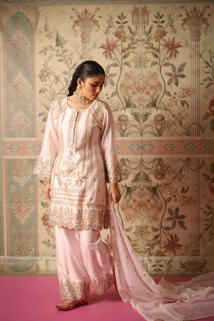 Gulnaza Light Pink Gota Patti Kurta